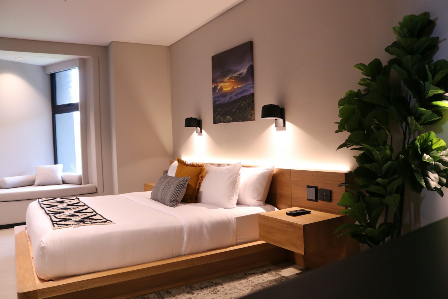Modern hotel bedroom with white linens and a leafy plant.