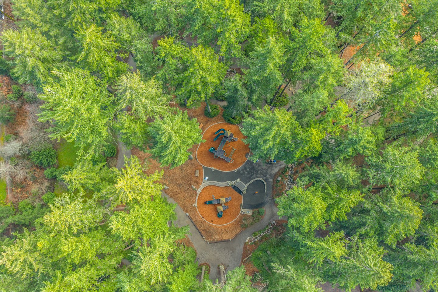 Two playgrounds with slides nestled in a forest.